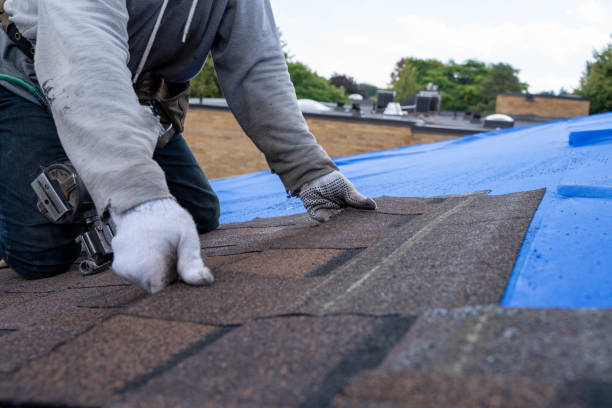 Best Metal Roofing Contractor  in Mondovi, WI