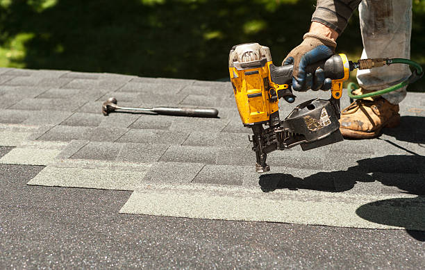 Roof Gutter Cleaning in Mondovi, WI