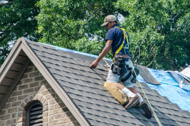 Best Roof Waterproofing Services  in Mondovi, WI